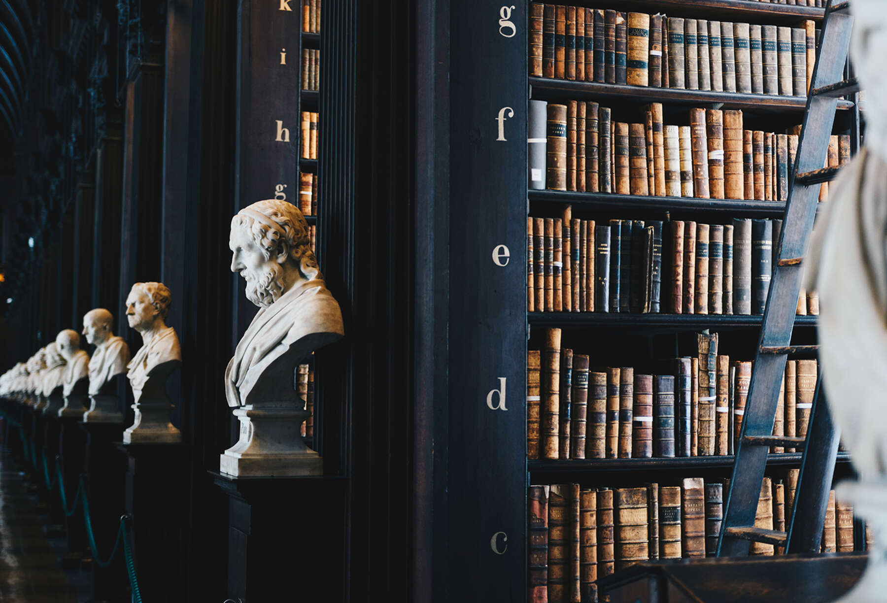 Row of marble busts and antique bookshelves with wooden ladder in a grand, historic library with dark wood interior.